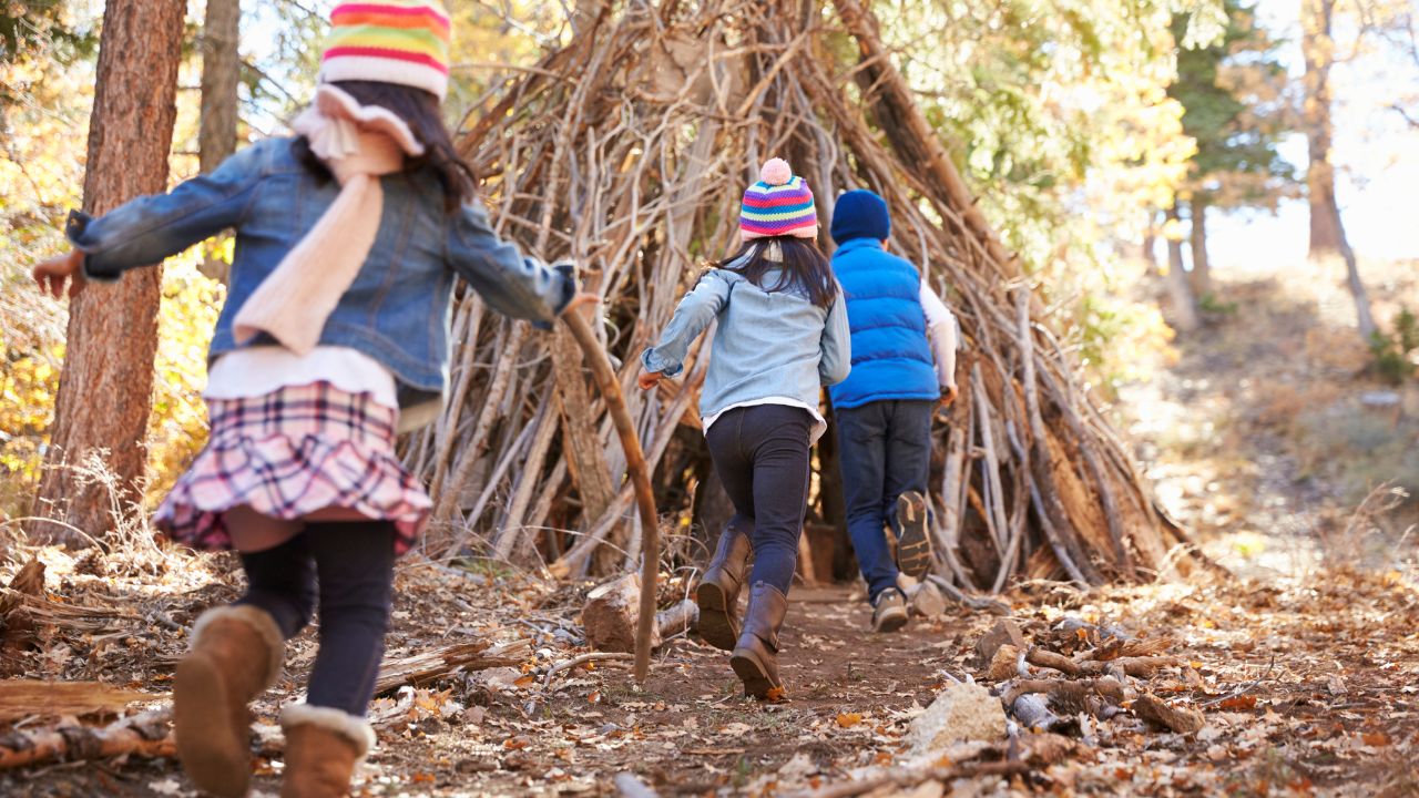 Days out in the woods for kids